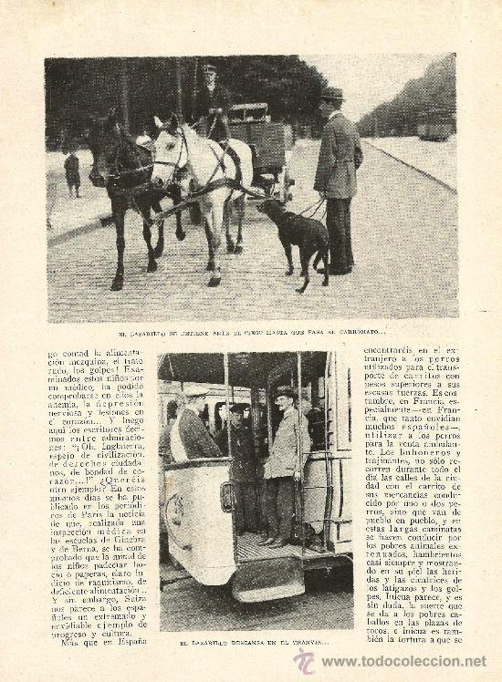 Collezionismo di Riviste e Giornali: Los ciegos, los perros y los ni&ntilde;os * CRUZ ROJA * ALEMANIA * - 1922