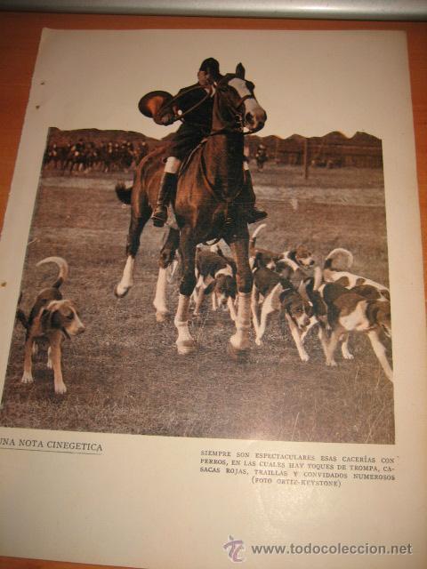 Coleccionismo de revistas y peri&oacute;dicos: CACERIAS CON PERROS  HOJA DE REVISTA BLANCO Y NEGRO 1933