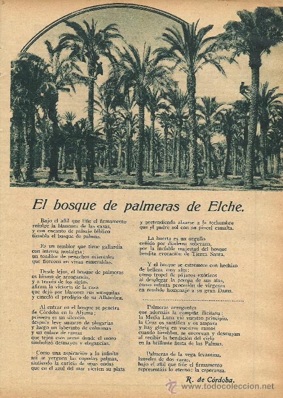 Collection Magazines and Newspapers: * ELX * El bosque de palmeras de Elche / versos de R. de C&oacute;rdoba - 1932