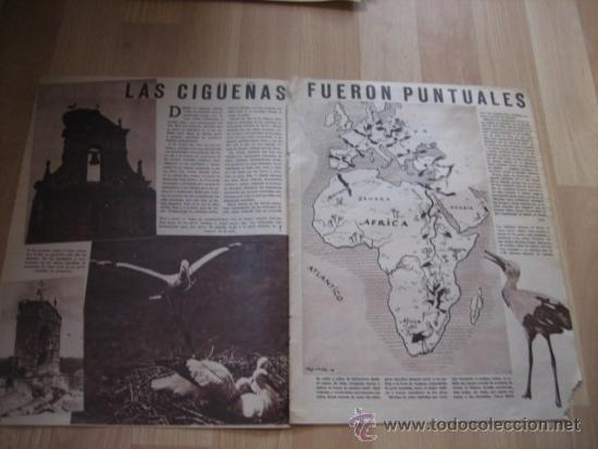 Coleccionismo de Revistas y Peri&oacute;dicos: LAS CIGUE&Ntilde;AS FUERON PUNTUALES 2  HOJAS  REVISTA SEMANA 1945