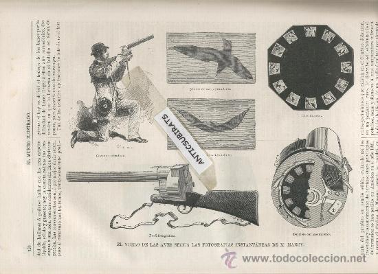 Collection Magazines and Newspapers: REVISTA.A&Ntilde;O 1882. LA FOTOGRAFIA DEL SIGLO XIX.FUSIL FOTOGRAFICO.FOTOS DE AVES. M. MAREY.RARA CAMARA.