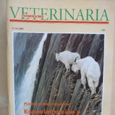 Coleccionismo de Revistas y Periódicos: INFORMACION VETERINARIA Nº 146 . 1994. Lote 33669076