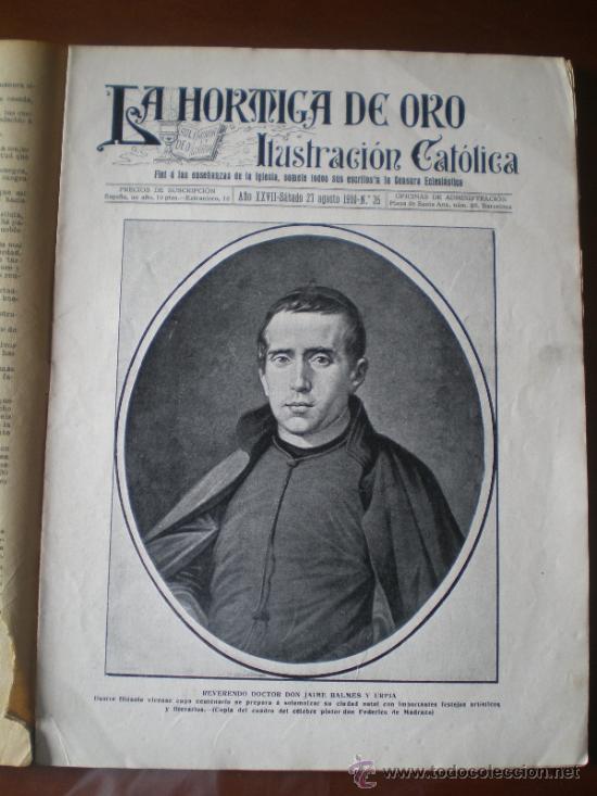 Coleccionismo de revistas y peri&oacute;dicos: LA HORMIGA DE ORO N&ordm; 35 (27/08/10) CAMPODRON VICH OLOT BARCELONA TORTOSA TORROELLA DE MONTGRI GERONA