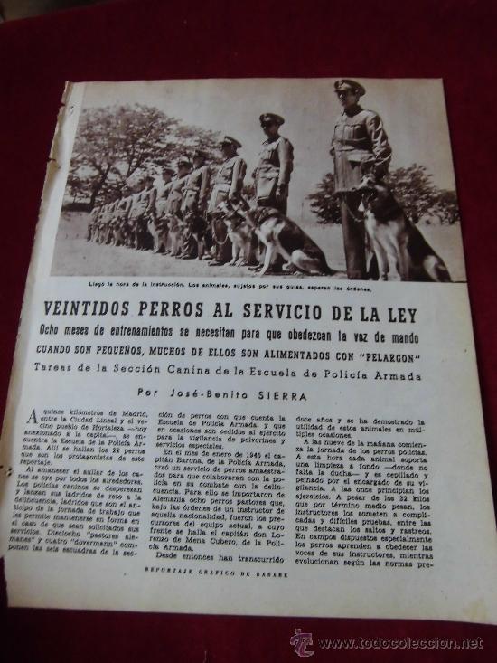 Coleccionismo de Revistas y Peri&oacute;dicos: VEINTIDOS PERROS AL SERVICIO DE LA LEY 2  HOJAS DE REVISTA BLANCO Y NEGRO 1957