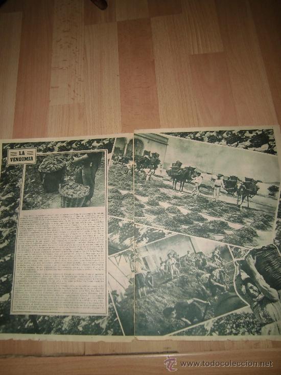 Coleccionismo de revistas y peri&oacute;dicos: LA VENDIMIA 2  HOJAS REVISTA ABC 1949