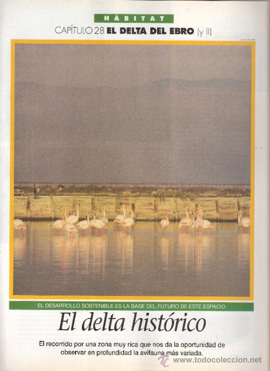 Coleccionismo de revistas y peri&oacute;dicos: Delta del Ebro II. Capit. 28. Habitat. El Semanal. 1996.S/P (8 p&aacute;g.).