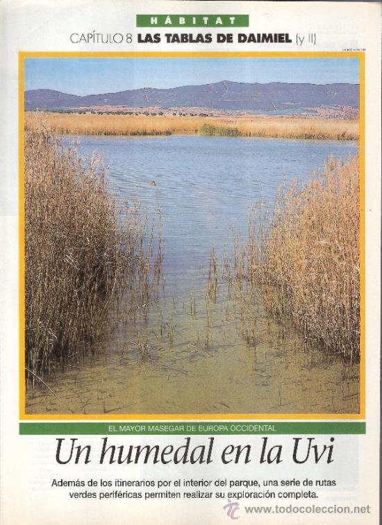 Coleccionismo de revistas y peri&oacute;dicos: Las Tablas de Daimiel II. Capit. 8. Habitat. El Semanal. 1996.S/P (8 p&aacute;g.).
