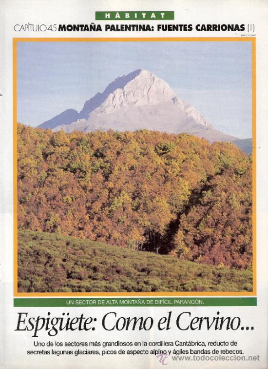 Coleccionismo de revistas y peri&oacute;dicos: Monta&ntilde;a Palentina:Fuentes Carrionas I. Capit. 45. Habitat. El Semanal. 1996.S/P (8 p&aacute;g.).