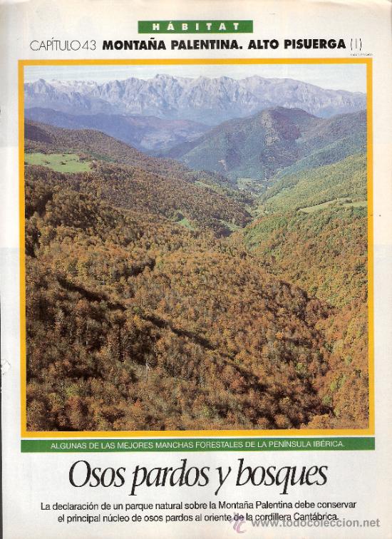 Coleccionismo de revistas y peri&oacute;dicos: Monta&ntilde;a Palentina: Alto Pisuerga I. Capit. 43. Habitat. El Semanal. 1996.S/P (8 p&aacute;g.).