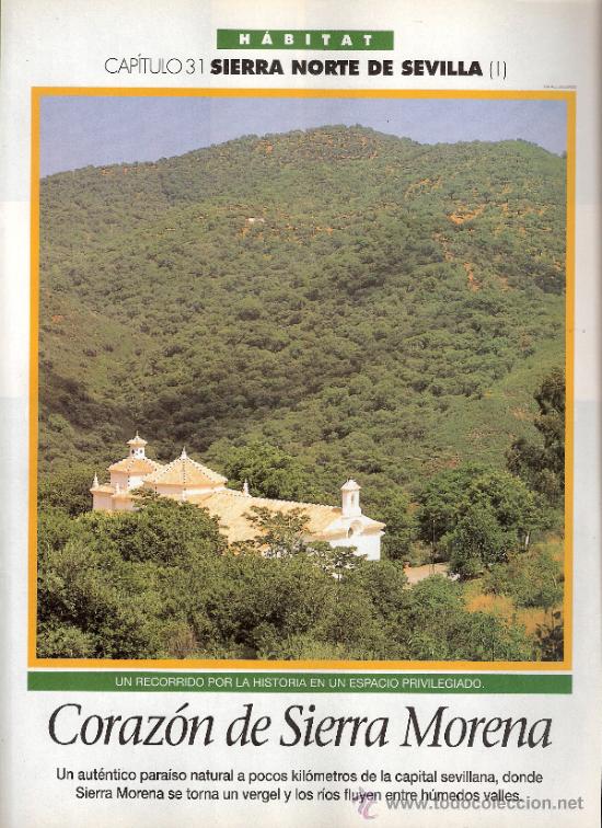 Coleccionismo de revistas y peri&oacute;dicos: Sierra Norte de Sevilla I. Capit. 31. Habitat. El Semanal. 1996.S/P (8 p&aacute;g.).