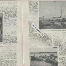 Coleccionismo de Revistas y Periódicos: REVISTA IBERICA AÑO 1917 LA CAZA PESCA DE LA BALLENA BARBAS DE BALLENA ACEITE NEW BELFORD . Lote 37424774