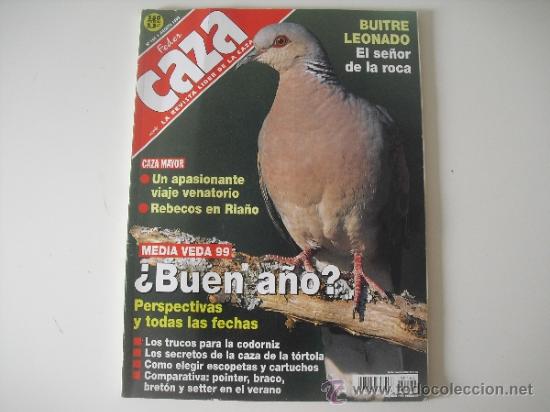 Coleccionismo de Revistas y Peri&oacute;dicos: N&ordm; 164 Agosto 1999 Feder Caza. Revista federcaza trucos codorniz, tortola, rebecos, Buitre Leonado