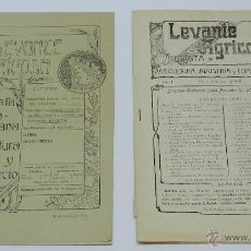 Coleccionismo de Revistas y Periódicos: 2 NUMEROS DE LA REVISTA LEVANTE AGRICOLA, REVISTA DE AGRICULTURA, INDUSTRIA Y COMERCIO, NUM. 7 DE 19