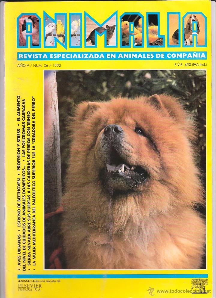 Colecionismo de Revistas e Jornais: REVISTA ANIMALIA NUM 36. A&Ntilde;O 1992. ESPECIALIZADA EN ANIMALES DE COMPA&Ntilde;IA. AVES. PERROS. GATOS.