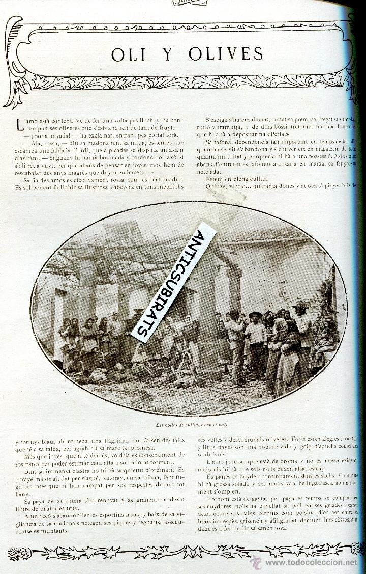 Colecionismo de Revistas e Jornais: REVISTA A&Ntilde;O 1910 ACEITUNAS ACEITE DE VALLDEMOSA MALLORCA MOLINOS MOLINAR FREDERICA BONAY PINTORA CAT