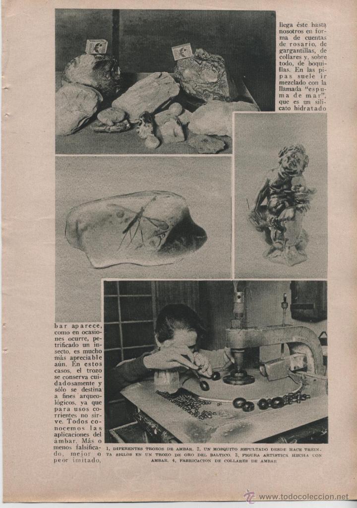 Coleccionismo de Revistas y Peri&oacute;dicos: * &Aacute;MBAR * El oro del B&aacute;ltico, una resina de hace tres mil a&ntilde;os convertida&hellip; - 1926