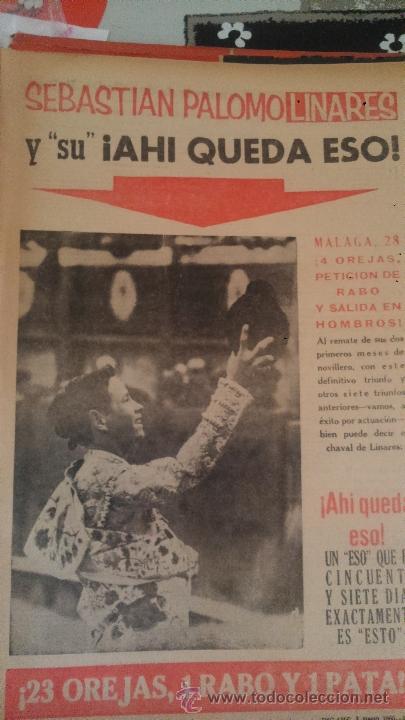 Collection Magazines and Newspapers: RECORTES SEBASTIAN PALOMO LINARES TOROS