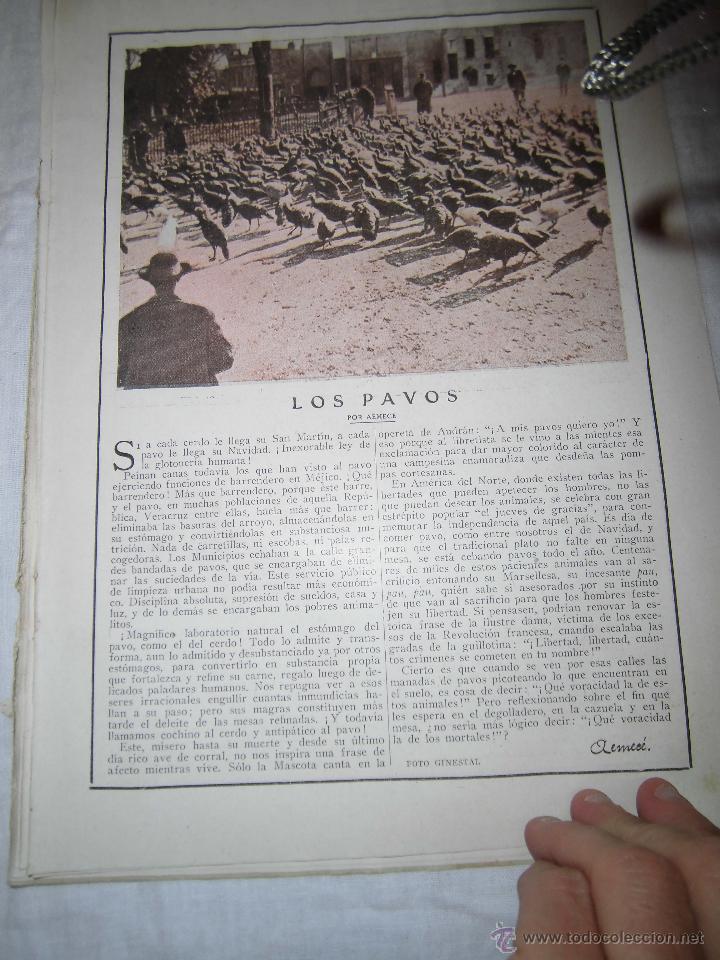 Collection Magazines and Newspapers: LOS PAVOS POR AEMECE HOJA DE REVISTA BLANCO Y NEGRO 1918