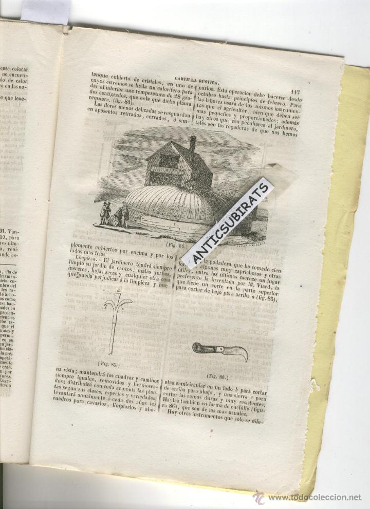 Collection Magazines and Newspapers: REVISTA A&Ntilde;O 1861 GRABADO DE UN INVERNADERO BERGA CANAL DE URGEL URGELL VINO DE ARENYS DE MAR CERVERA