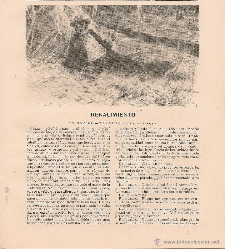 Coleccionismo de Revistas y Peri&oacute;dicos: Renacimiento: un hombre, un grillo, una mariposa / Jos&eacute; de Roure - 1905