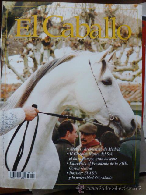 Coleccionismo de revistas y peri&oacute;dicos: Revista El caballo, revista de deportes ecuestres n&ordm; 151