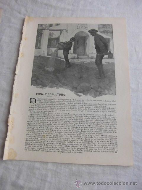 Coleccionismo de revistas y peri&oacute;dicos: CUNA Y SEPULTURA POR EUGENIO SELLES DIBUJOS DE BRINGA HOJA REVISTA BLANCO Y NEGRO 1906