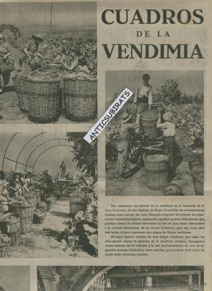 Coleccionismo de revistas y peri&oacute;dicos: LA VANGUARDIA A&Ntilde;O 1935 VEREMA VENDIMIA EN SANT SADURNI D' ANOIA CODORNIU 24 HORAS CICLISTAS DE REUS