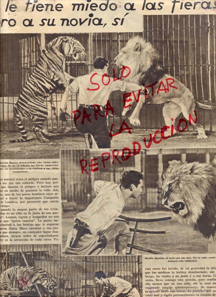 circo domador de leones hoja revista sin año - Buy Other modern magazines  and newspapers on todocoleccion