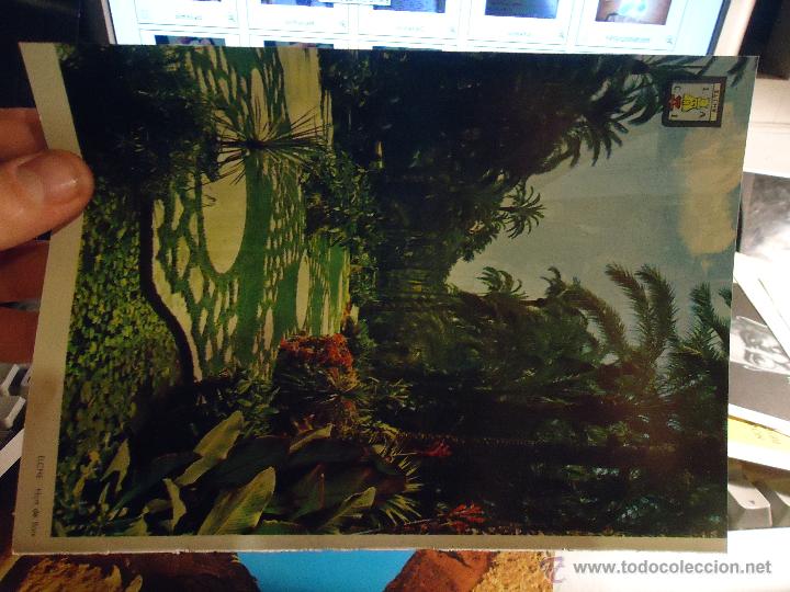 Sammeln von Zeitschriften und Zeitungen: antigua lamina 1965 - 22 cm - elche