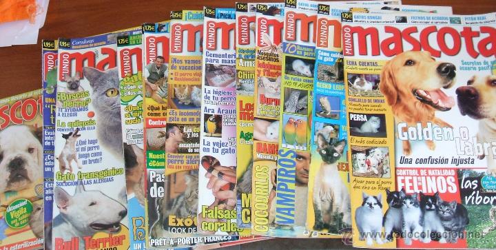 Collectionnisme de Revues et Journaux: REVISTA MUNDO MASCOTA -- Lote de 12 n&uacute;meros