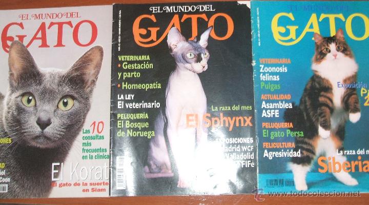 Collectionnisme de Revues et Journaux: REVISTA EL MUNDO DEL GATO -- Lote de 3 n&uacute;meros