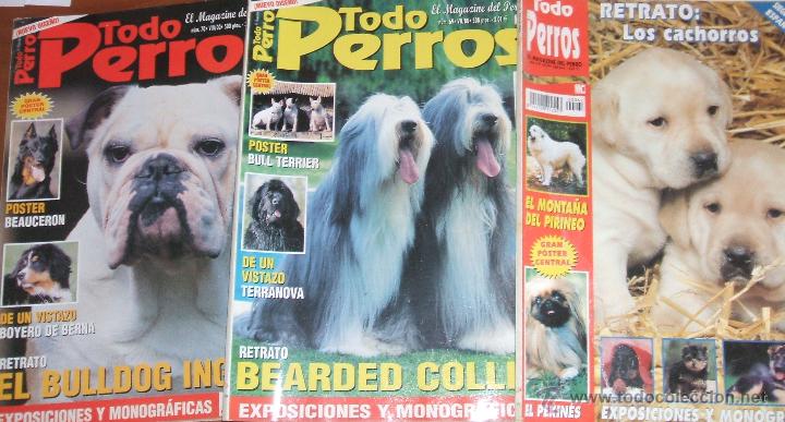 Collectionnisme de Revues et Journaux: TODO PERROS - El magazine del perro - Lote de 3revistas
