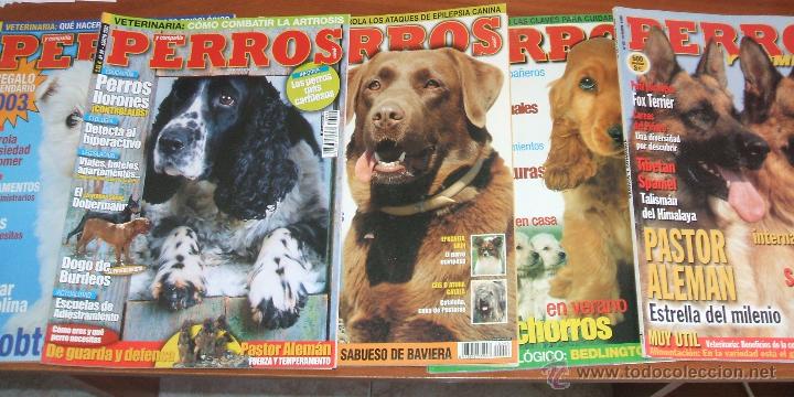 Collectionnisme de Revues et Journaux: PERROS Y COMPA&Ntilde;IA - Lote de 5 revistas