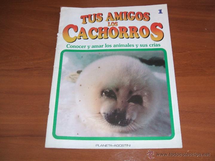 Collectionnisme de Revues et Journaux: TUS AMIGOS LOS CACHORROS - conocer y amar a los animales y sus cr&iacute;as