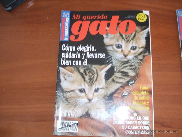 Collezionismo di Riviste e Giornali: MI QUERIDO GATO - EXTRA N&ordm; 4 REVISTA CACHORROS Y MASCOTAS