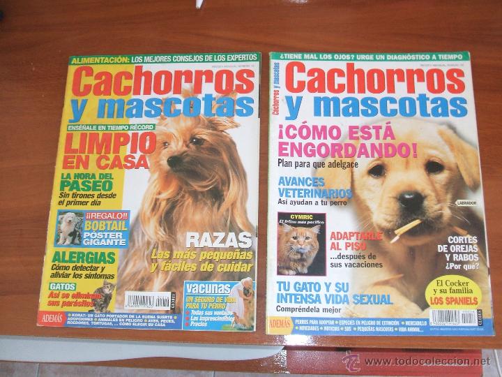 Collezionismo di Riviste e Giornali: CACHORROS Y MASCOTAS - LOTE 3 REVISTAS