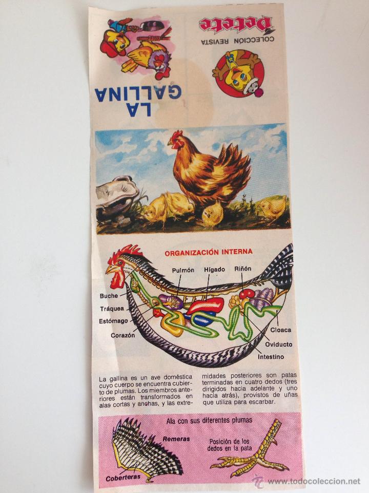 Coleccionismo de Revistas y Peri&oacute;dicos: COLECCION REVISTA PETETE LA GALLINA