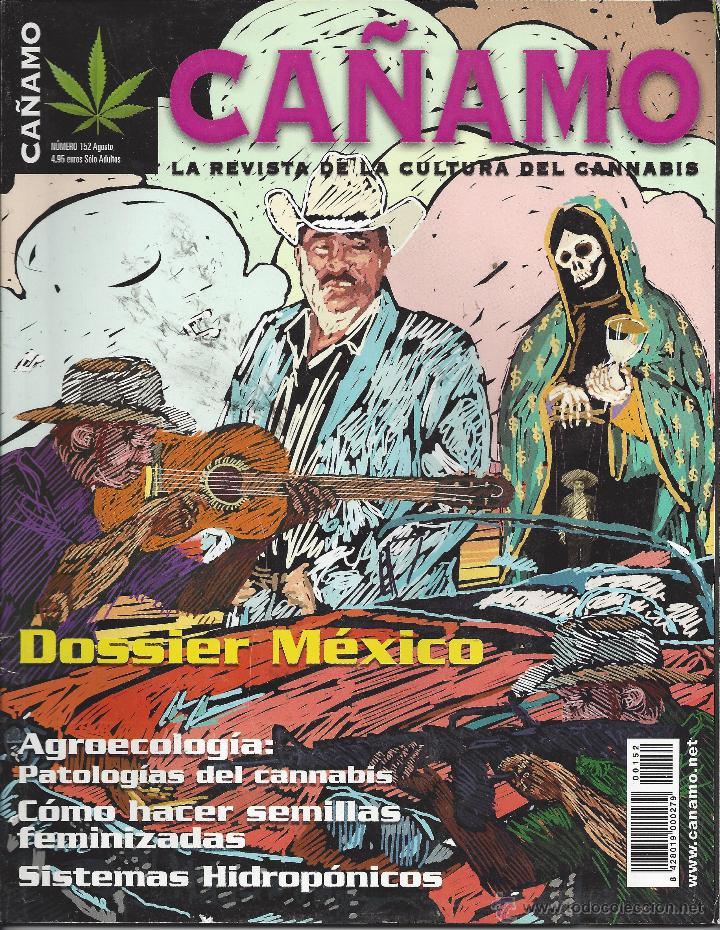 Collection Magazines and Newspapers: REVISTA C&Aacute;&Ntilde;AMO. LA REVISTA DE LA CULTURA DEL CANNABIS. DOSSIER M&Eacute;XICO. N&ordm;152. AGOSTO.