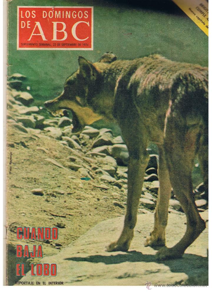 Coleccionismo de Revistas y Peri&oacute;dicos: LOS DOMINGOS DE ABC.  CUANDO BAJA EL LOBO. 22 SPBRE. 1974. (B/A27)