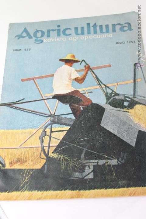 Sammeln von Zeitschriften und Zeitungen: REVISTA AGROPECUARIA AGRICULTURA, N&ordm; 255 JULIO 1953
