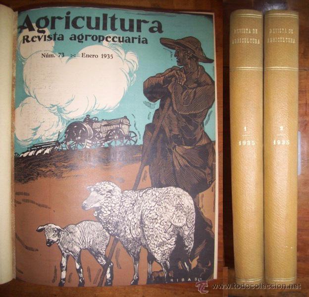 Coleccionismo de revistas y peri&oacute;dicos: AGRICULTURA : Revista agropecuaria : Publicaci&oacute;n mensual ilustrada... A&Ntilde;O VII. ENE-DIC 1935