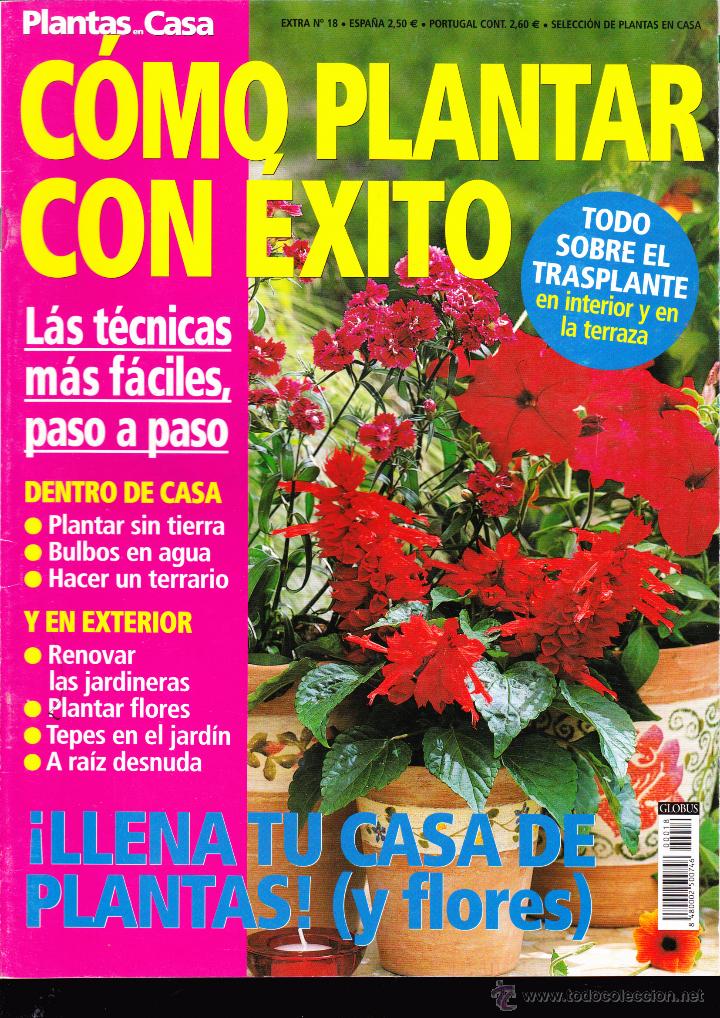 Collezionismo di Riviste e Giornali: REVISTA , COMO PLANTAR CON &Eacute;XITO  , N&ordm; 18 .