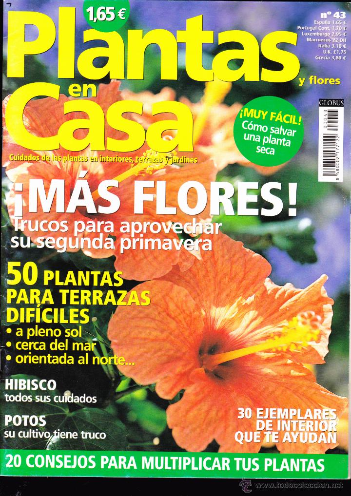 Colecionismo de Revistas e Jornais: REVISTA , PLANTAS EN CASA , N&ordm; 43 .