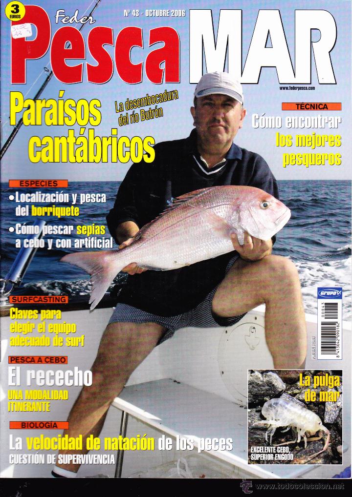 Collezionismo di Riviste e Giornali: REVISTA , PESCA MAR , N&ordm; 43 .