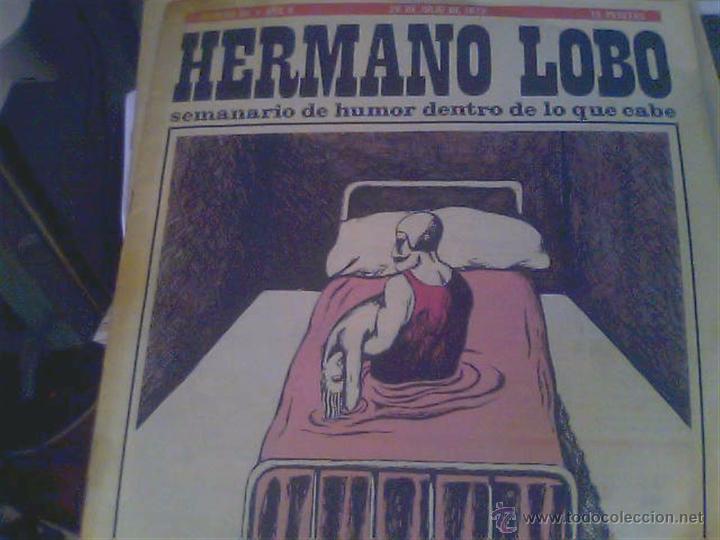 Coleccionismo de revistas y peri&oacute;dicos: Hermano Lobo del 28 de Julio de 1973
