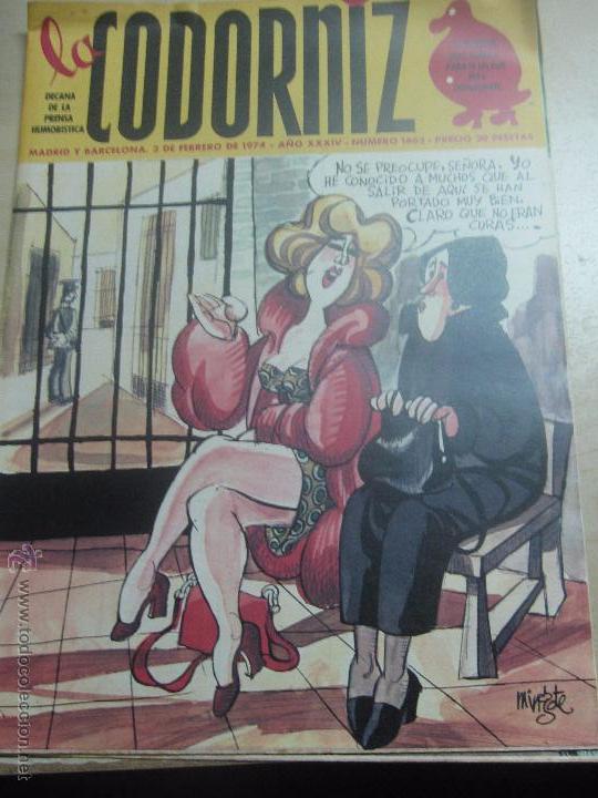 Coleccionismo de Revistas y Peri&oacute;dicos: REVISTA LA CODORNIZ N&ordm; 1663 3 DE FEBRERO 1974 A&Ntilde;O 34
