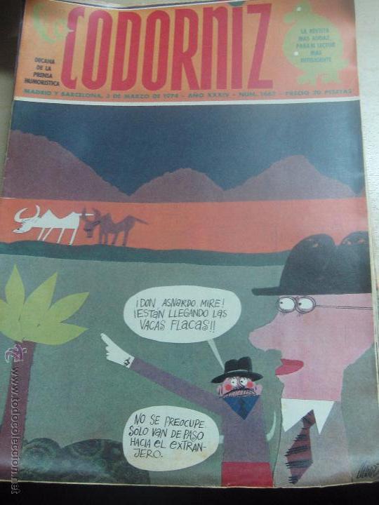 Coleccionismo de Revistas y Peri&oacute;dicos: REVISTA LA CODORNIZ N&ordm; 1667 3 DE MARZO 1974 A&Ntilde;O 34