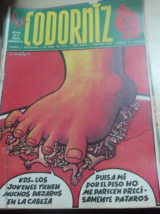 Coleccionismo de Revistas y Peri&oacute;dicos: REVISTA LA CODORNIZ N&ordm; 1672 7 DE ABRIL 1974 A&Ntilde;O 34