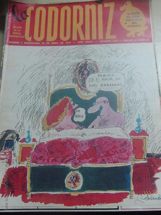 Coleccionismo de Revistas y Peri&oacute;dicos: REVISTA LA CODORNIZ N&ordm; 1675 28 DE ABRIL 1974 A&Ntilde;O 34