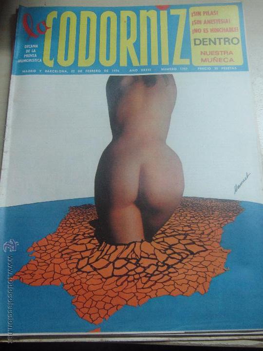 Coleccionismo de Revistas y Peri&oacute;dicos: REVISTA LA CODORNIZ N&ordm; 1757 22 DE FEBRERO 1976 A&Ntilde;O 36